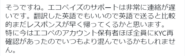 エコペイズ　サポート　口コミ